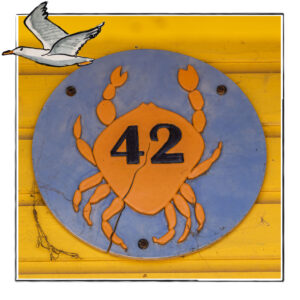Image of a crab sign attached to a beach hut in Norfolk UK, framed with a sketch line and overlaid with a hand drawn image of a seagull