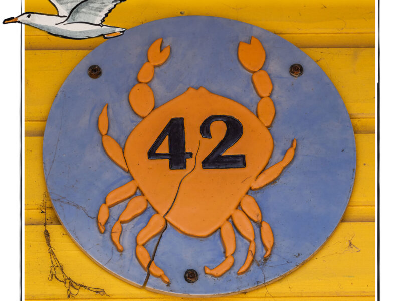 Image of a crab sign attached to a beach hut in Norfolk UK, framed with a sketch line and overlaid with a hand drawn image of a seagull