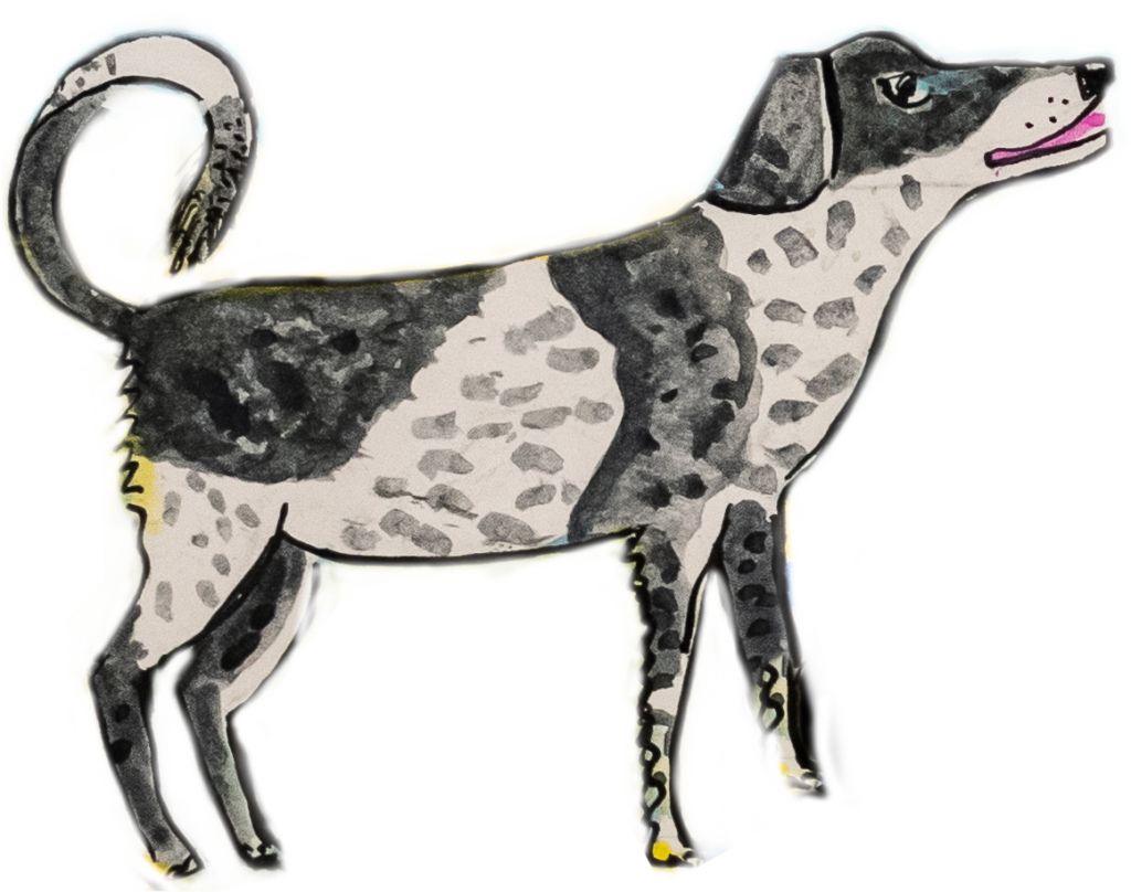 A hand drawn image of a black and white dog