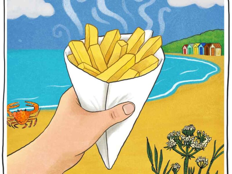 Illustration of someone holding fresh hot chips wrapped in paper