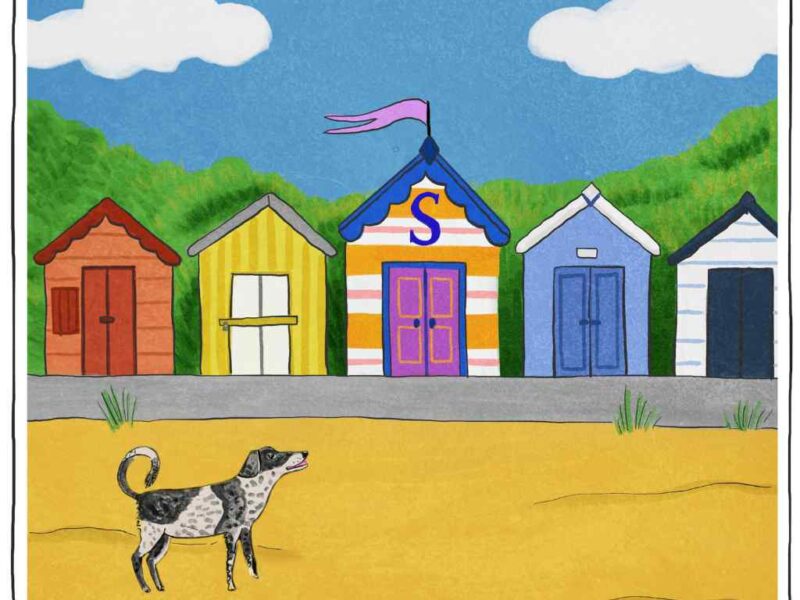 Illustration of beach huts with a dog in front